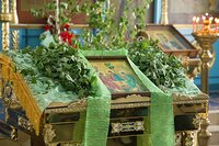 День Святой Троицы в храме Рождества Пресвятой Богородицы 